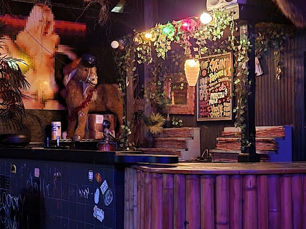 The Saint Bar & Lounge in New Orleans, LA