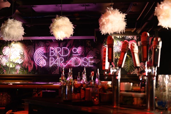 Bird of Paradise under Bright Side Restaurant in Cleveland, OH