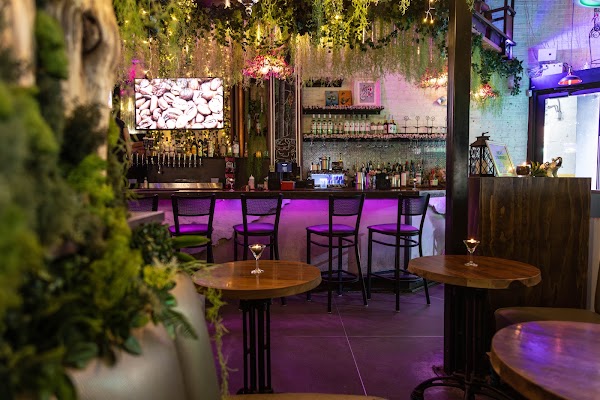 The Elephant Espresso Martini Bar in Philadelphia, PA