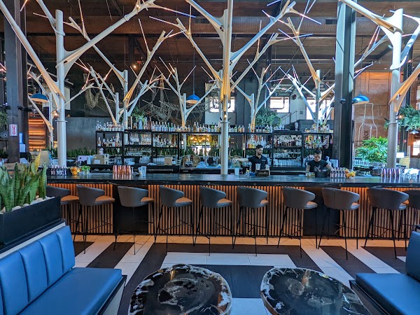 Understory Bar in San Diego, CA