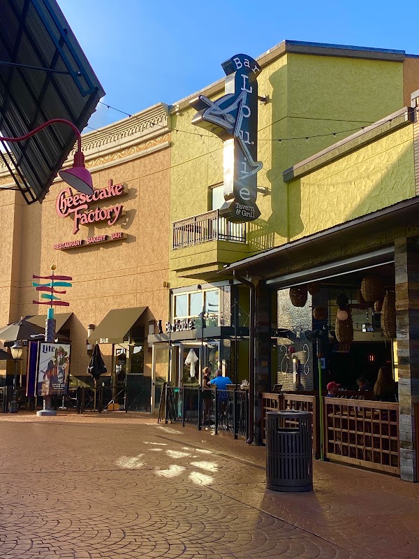 Bar Louie - Tampa in Tampa, FL