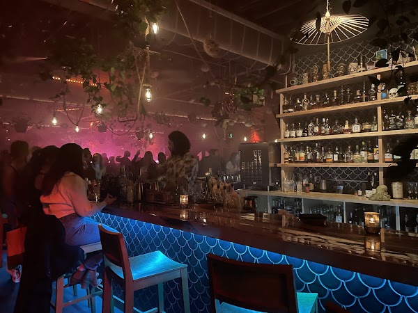 The Jungle Room in Richmond, VA