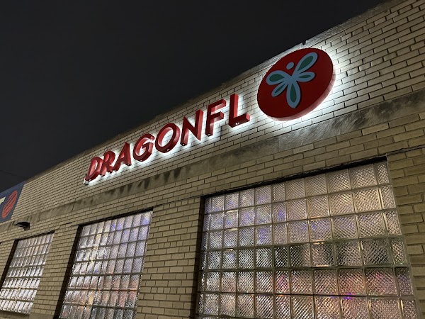 Dragonfly in Detroit, MI